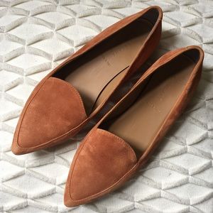 Everlane Modern Point Flat Shoe